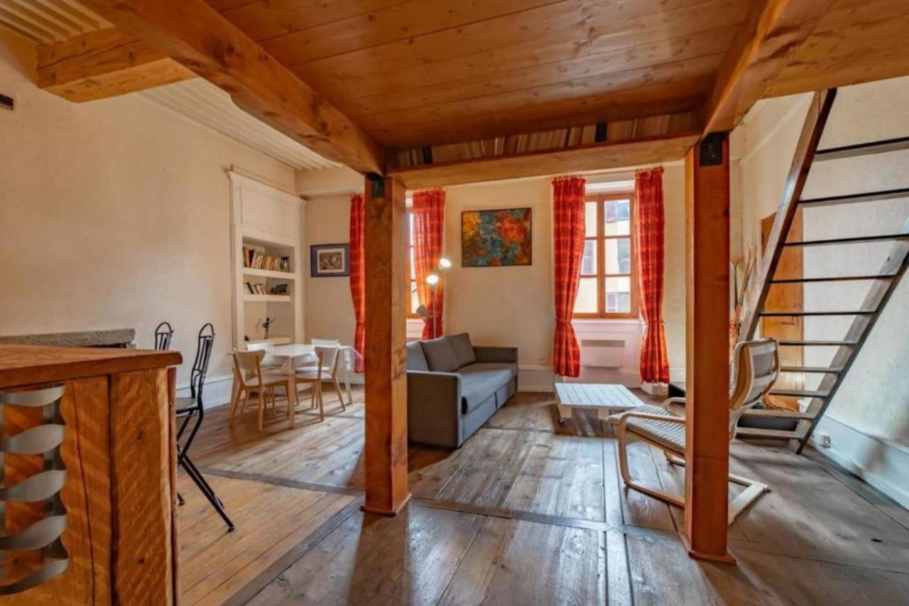 Apartment Classified 2 Stars In The Heart Of The Historic Center Of アヌシー エクステリア 写真